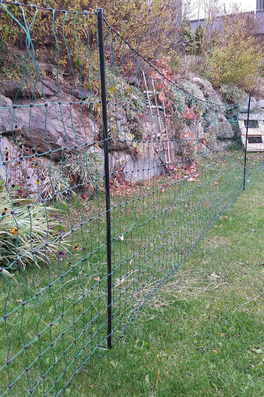 Geflügelzaun Geflügelnetz Hühnerzaun 1,60 m x 30,00 m  oliv  Maschenweite 5 cm 